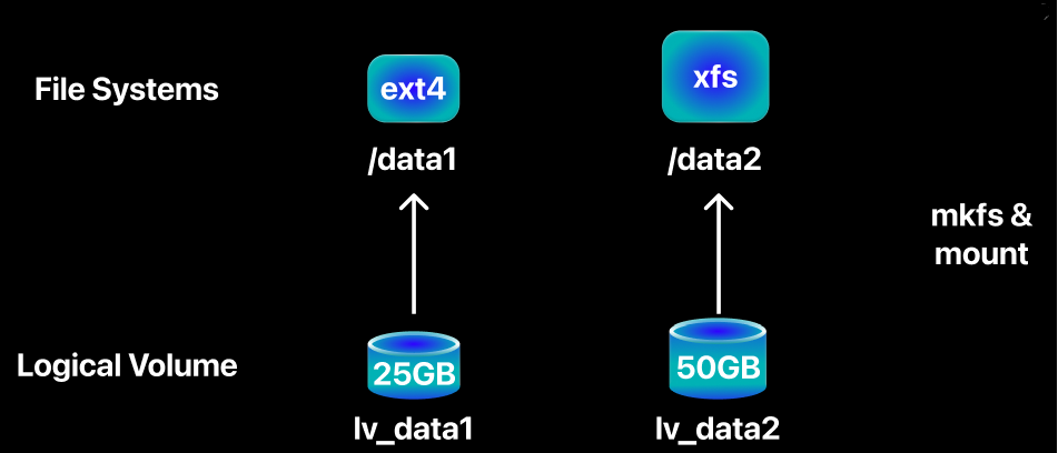segment